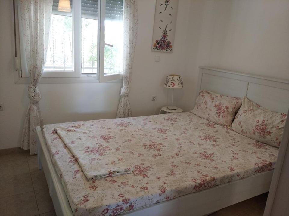 Appartement Δεσποινα à Néa Péramos Extérieur photo